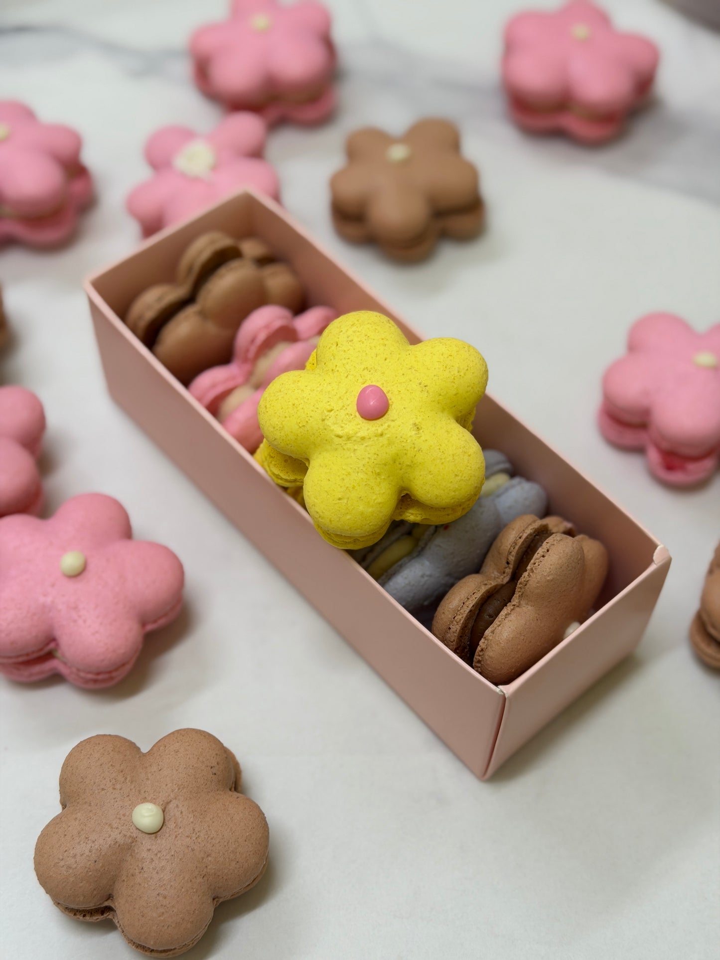 Box of 5 Flower-Shaped Macarons – Assorted Flavours