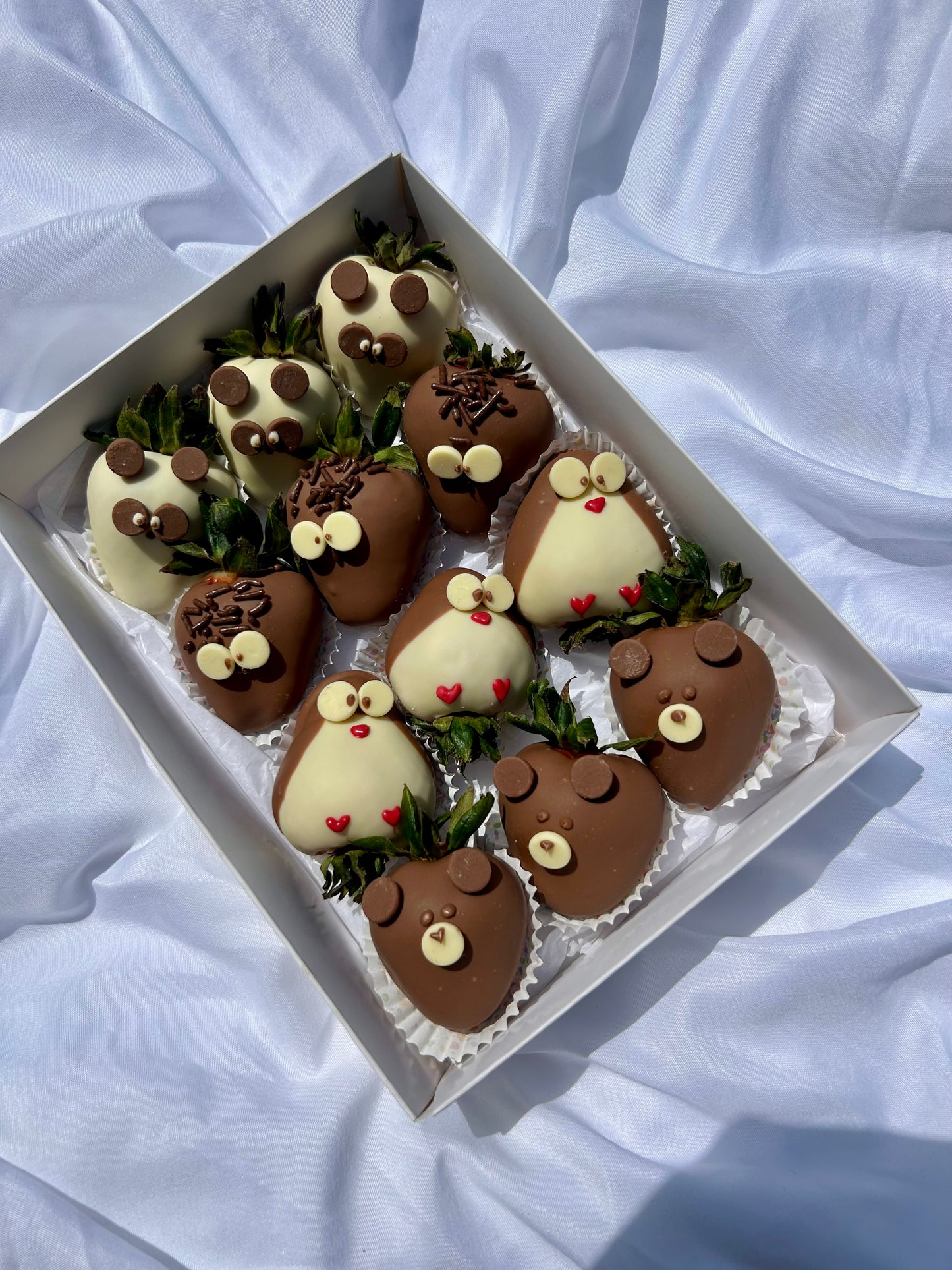 Cute Animal Chocolate-Covered Strawberries