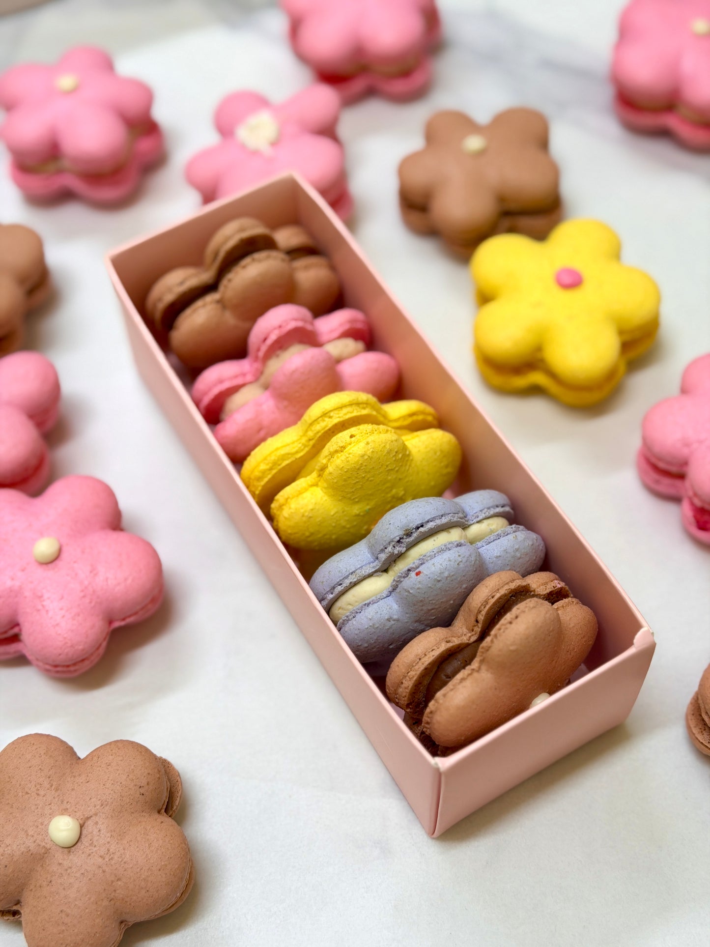 Box of 5 Flower-Shaped Macarons – Assorted Flavours