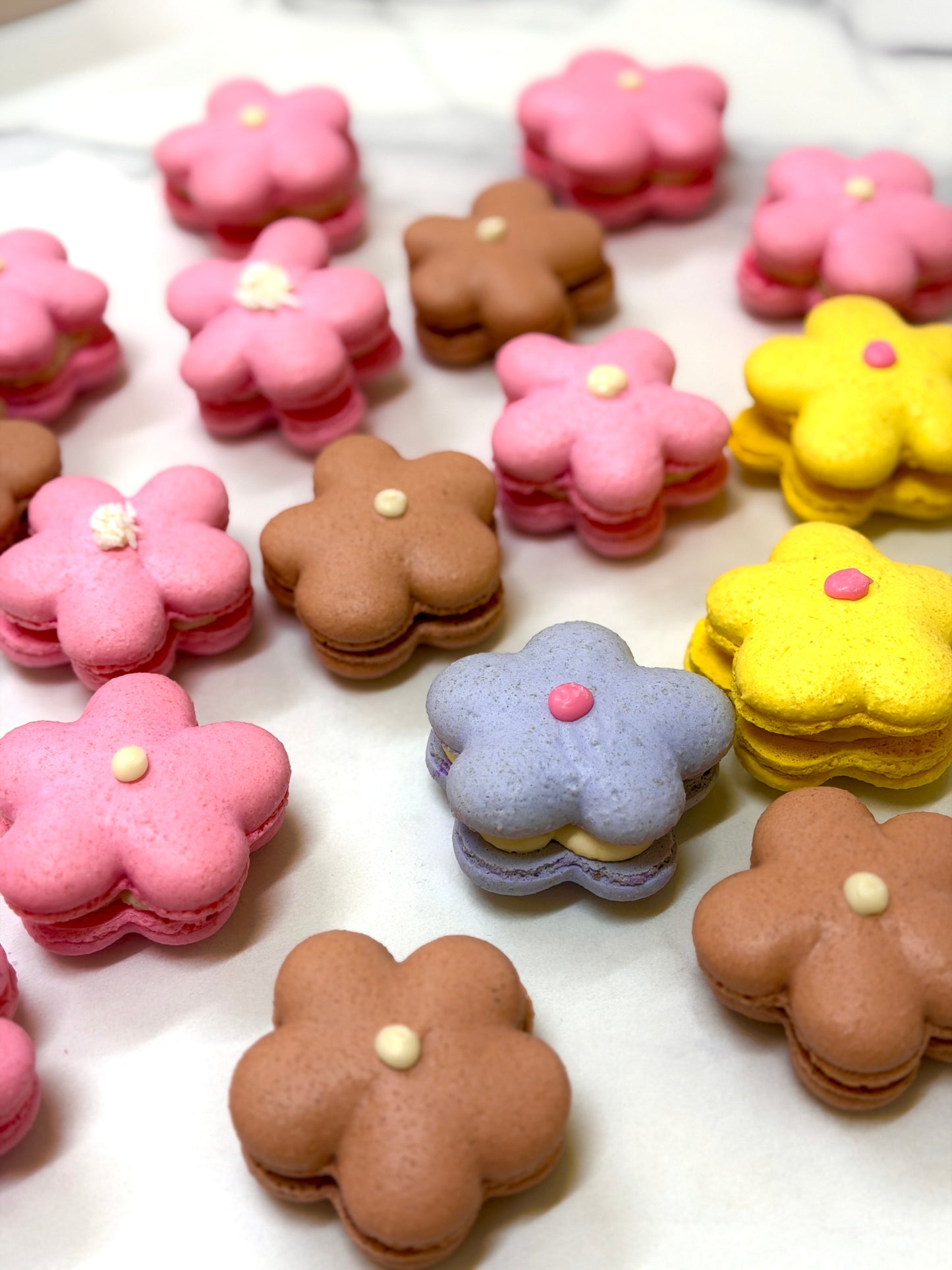 Box of 5 Flower-Shaped Macarons – Assorted Flavours