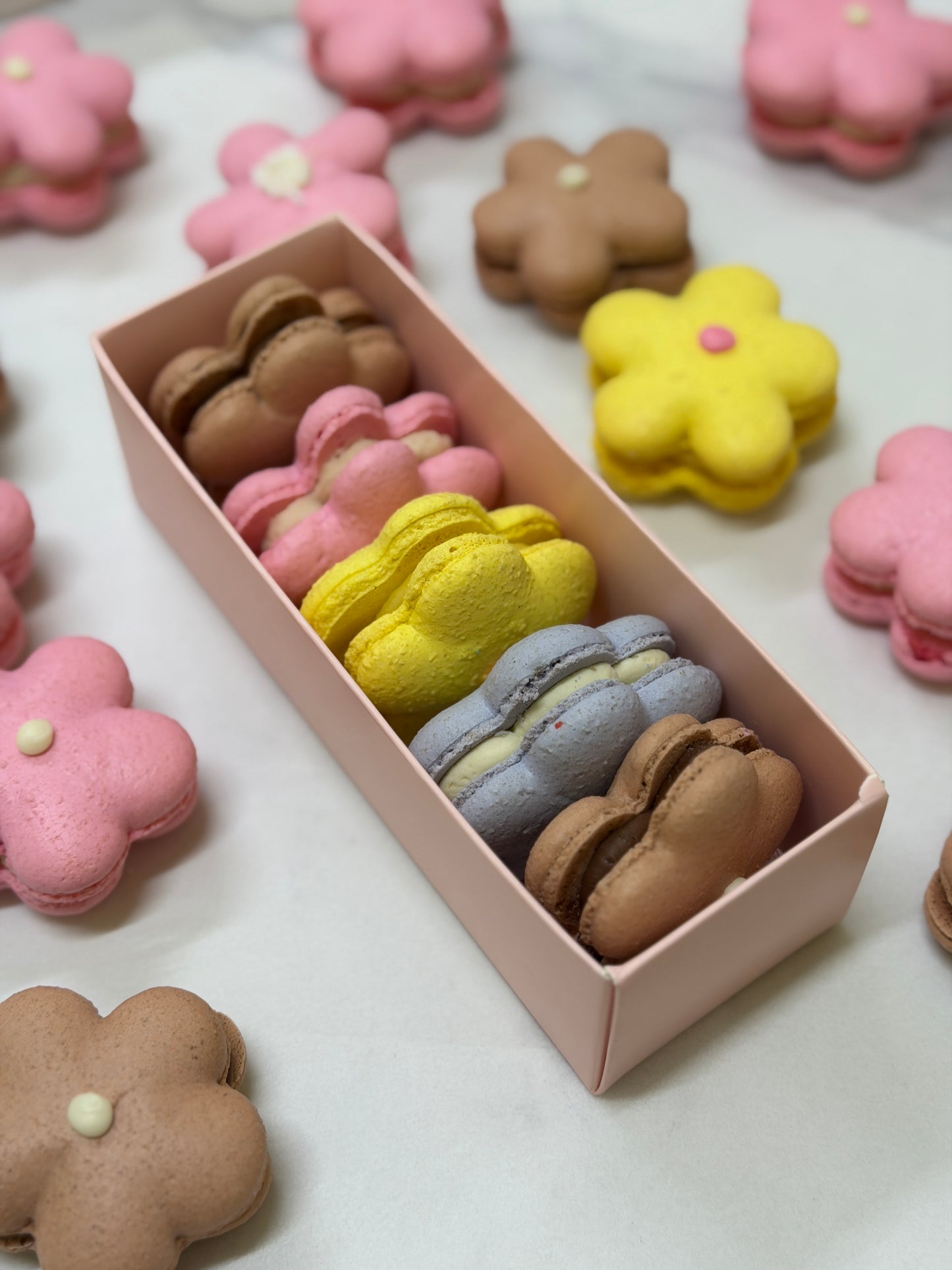 Box of 5 Flower-Shaped Macarons – Assorted Flavours