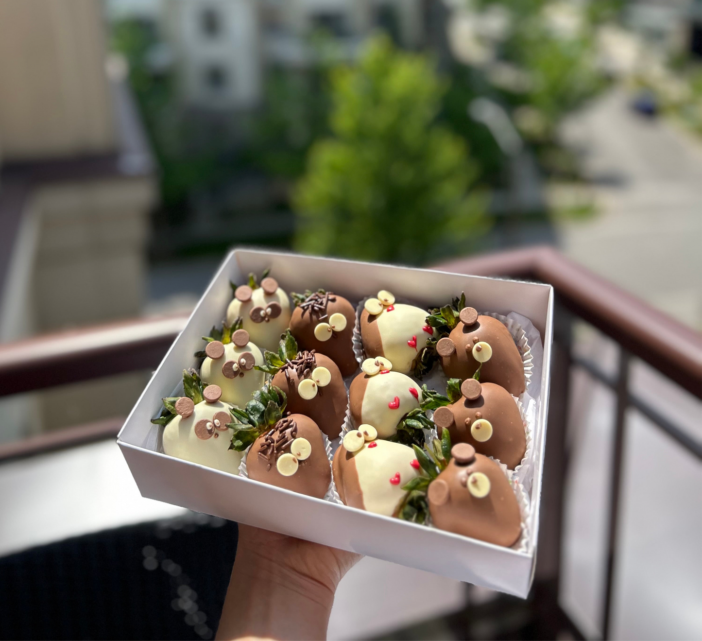 Cute Animal Chocolate-Covered Strawberries